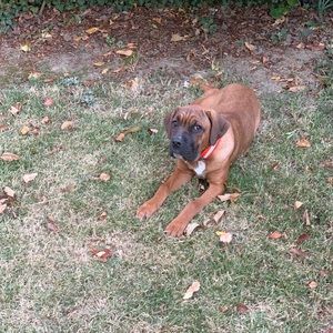 Meet your Posher, Lance